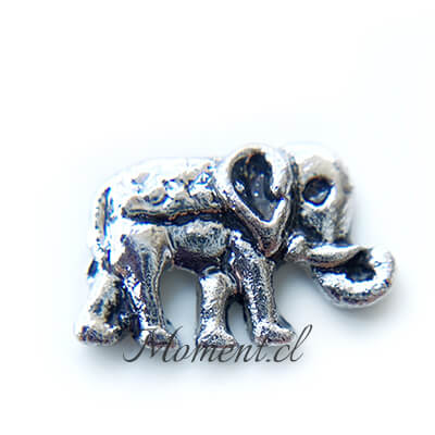Elefante
