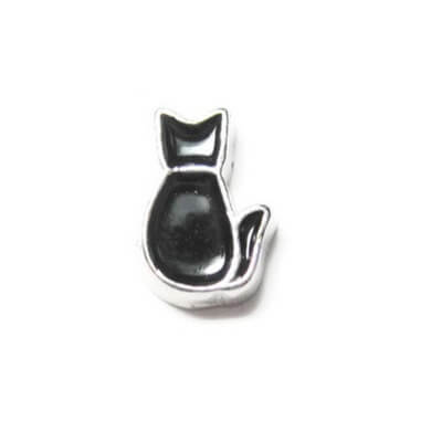 Gato negro