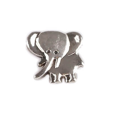 Elefante