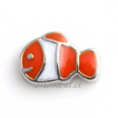 Pez Nemo