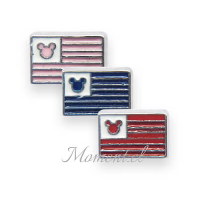 Bandera Mickey
