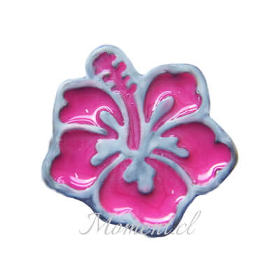 Hibisco
