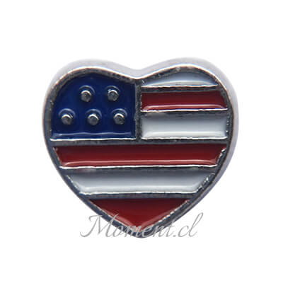 Corazón Estados Unidos