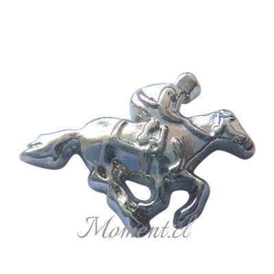Caballo con jinete