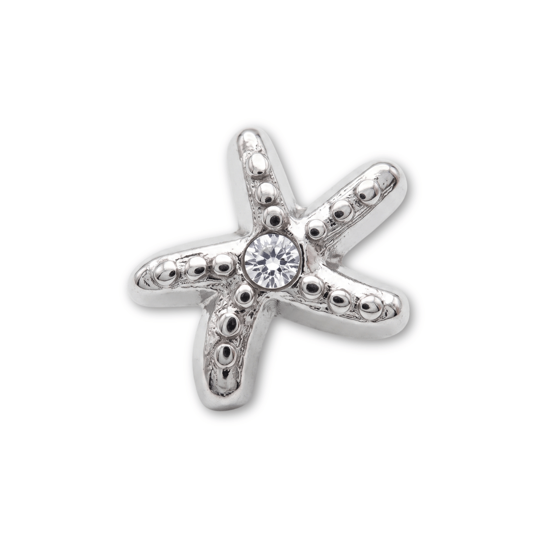 Estrella de mar Plateada con cristal