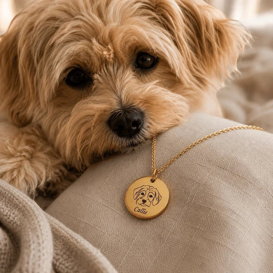 Collar Moment dorado de acero inoxidable con medalla grabada personalizada con el dibujo de un perro y el nombre Callie
